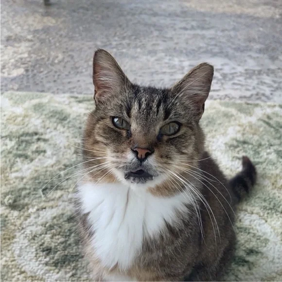 Lissette’s live show! - Picture 5 of 11